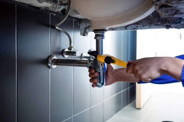 Best Garbage Disposal Repair and Installation  in Ohatchee, AL